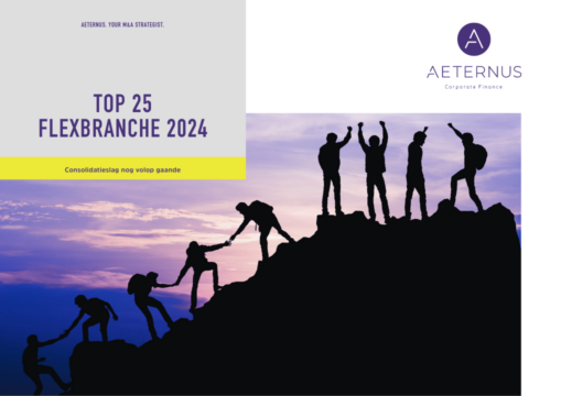 Aeternus Industry Report flexbranche 2024
